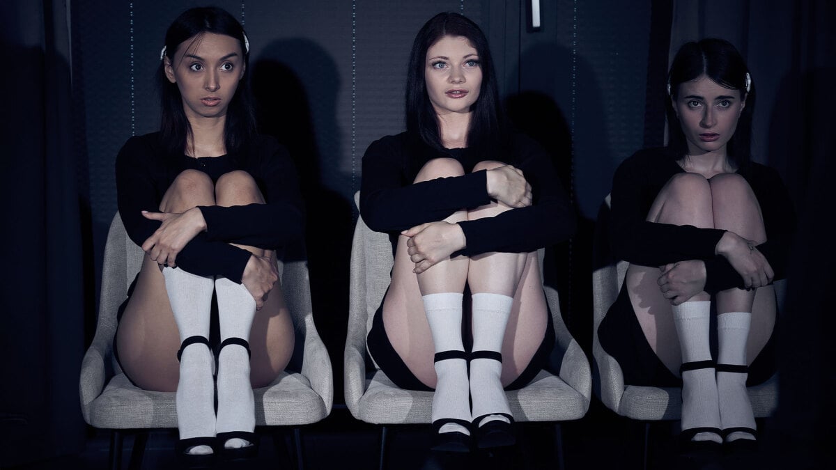 Three Pussies, One Owner